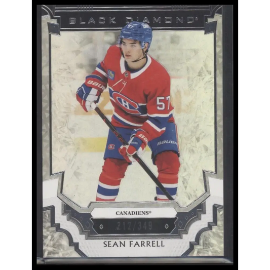 2023-24 Upper Deck Black Diamond #BDB-SF Sean Farrell #/349