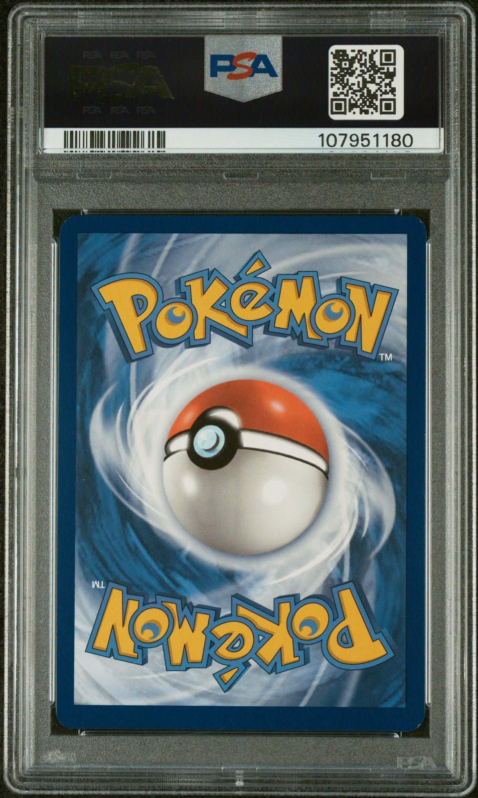 Squirtle 2024 Pokemon Scr En-Stellar Crown #148 Illustration Rare PSA 8