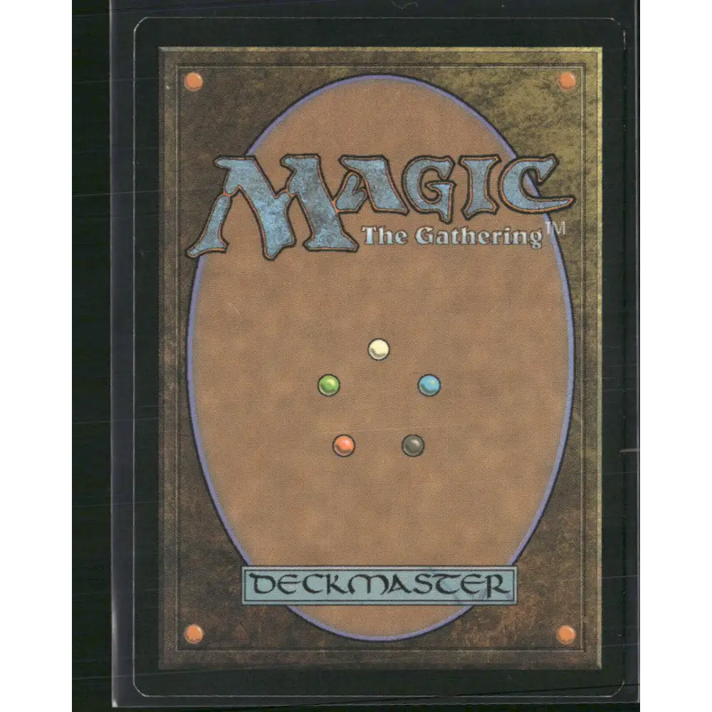 Windswept Heath Khans of Tarkir #248 - Trading Card